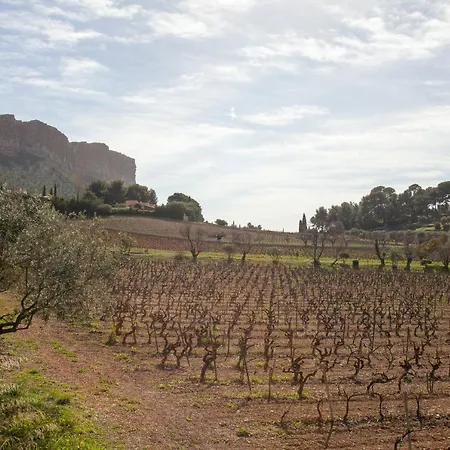 La Petite Lezardiere Holiday home Cassis