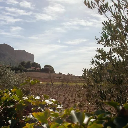 Holiday home La Petite Lezardiere Cassis